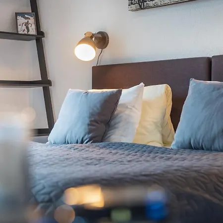 酒店 西霍夫酒店 滨湖采尔